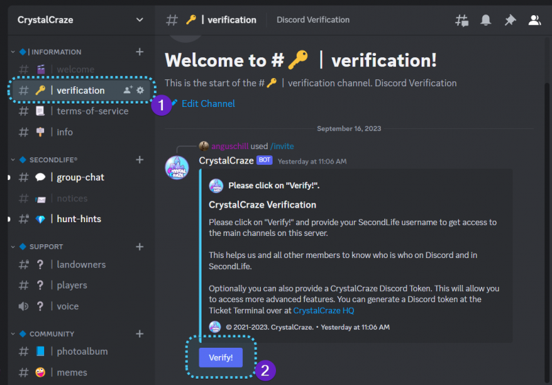 File:Discord verification.png